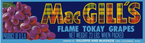 Mac Gill s